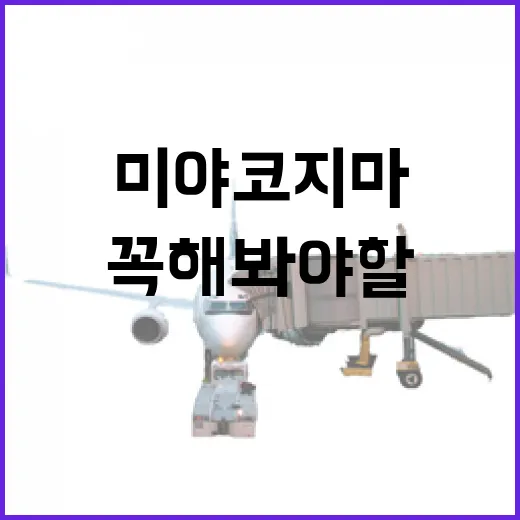 미야코지마에서 꼭 해봐야 할 특별한 경험들 - 요약