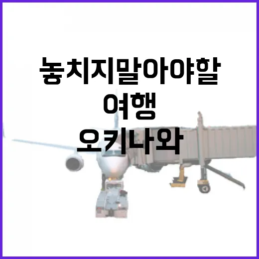 오키나와에서 놓치지 말아야 할 여행 꿀팁 - 요약