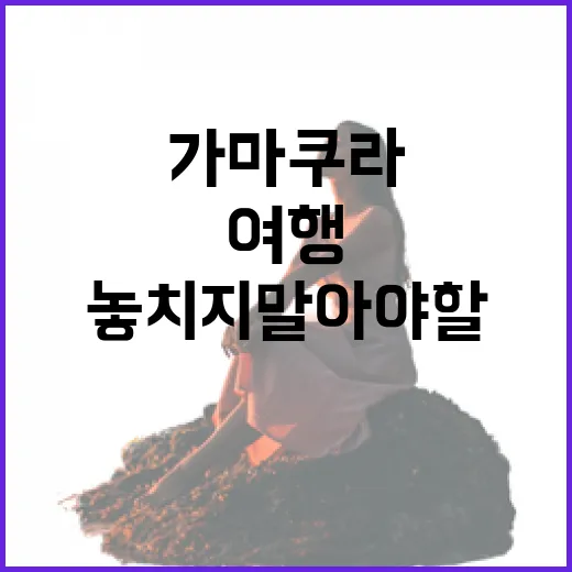 가마쿠라에서 놓치지 말아야 할 여행 꿀팁 - 요약