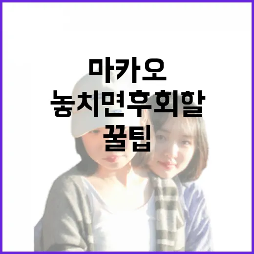 마카오 여행을 즐기는 방법, 놓치면 후회할 꿀팁! - 요약