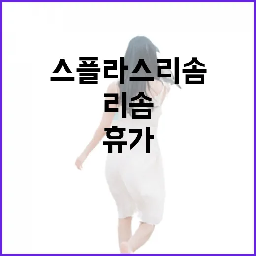 스플라스 리솜에서 완벽한 휴가를 보내는 방법 - 요약