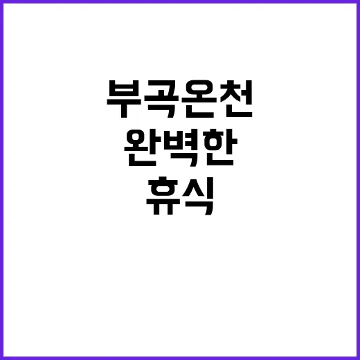 부곡온천에서 완벽한…