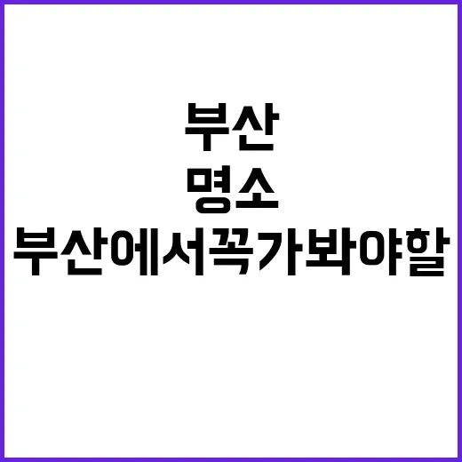 부산에서 꼭 가봐야…