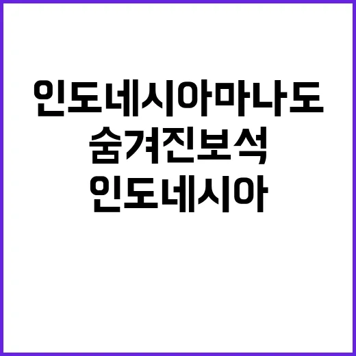 인도네시아 마나도를…