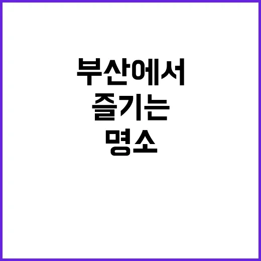 부산에서 꼭 방문해…