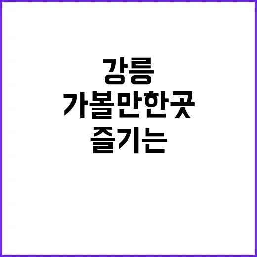 강릉 가볼만한곳을 …