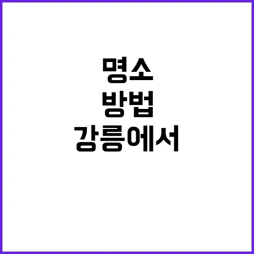 강릉에서 꼭 방문해…