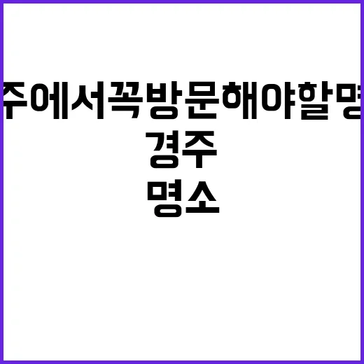 경주에서 꼭 방문해…