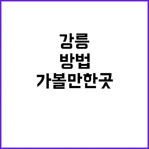 강릉 가볼만한 곳을 만끽하는 방법 - 요약