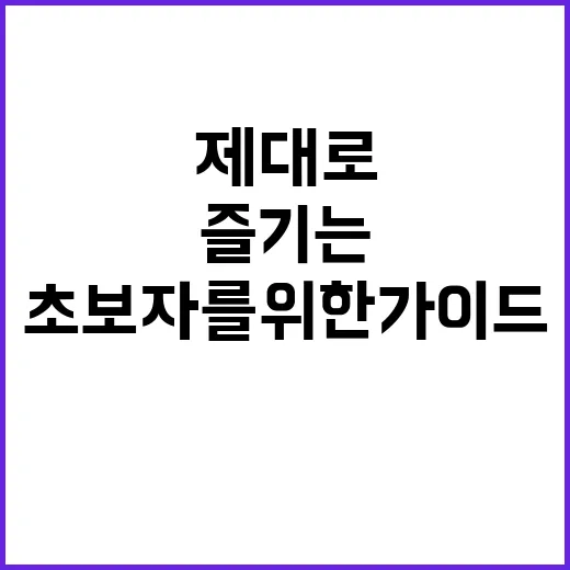 오사카를 제대로 즐기는 방법: 초보자를 위한 가이드 - 요약