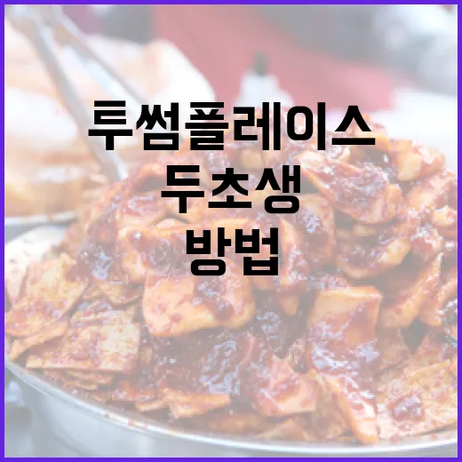 투썸플레이스에서 두초생 음료를 즐기는 방법 - 요약