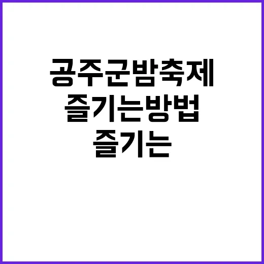 공주 군밤축제를 완벽히 즐기는 방법 - 요약