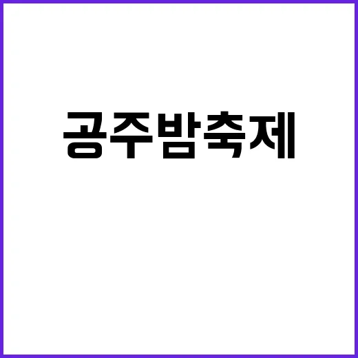공주 밤축제를 만끽하는 방법 - 요약