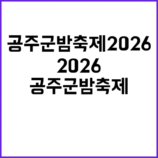 공주 군밤축제 2026을 즐기는 방법 - 요약