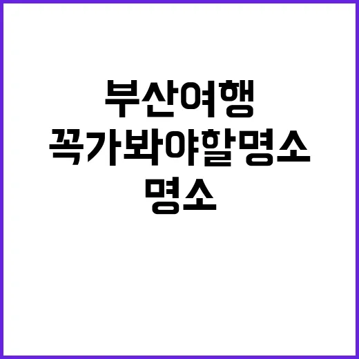 부산 여행에서 꼭 가봐야 할 명소를 즐기는 방법 - 요약