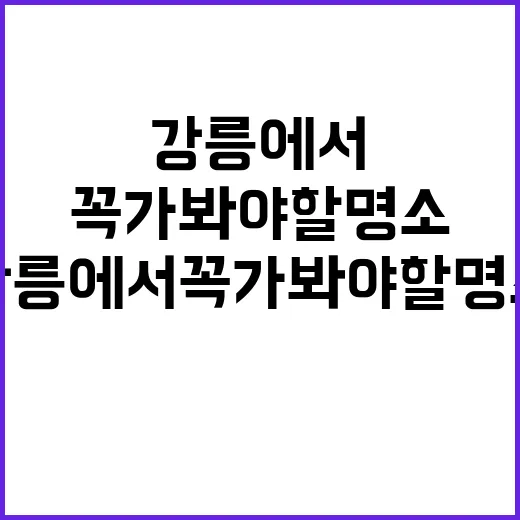 강릉에서 꼭 가봐야 할 명소 탐방하는 방법 - 요약