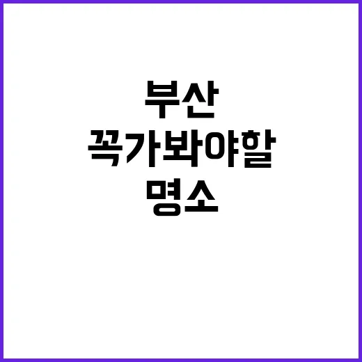 부산에서 꼭 가봐야 할 명소를 여행하는 방법 - 요약