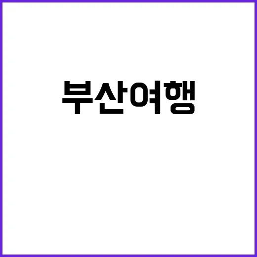 부산 여행에서 꼭 방문해야 할 명소들 - 요약