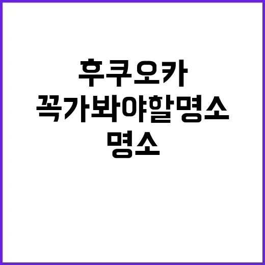 후쿠오카에서 꼭 가봐야 할 명소를 탐방하는 방법 - 요약