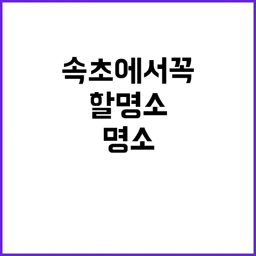 속초에서 꼭 방문해…