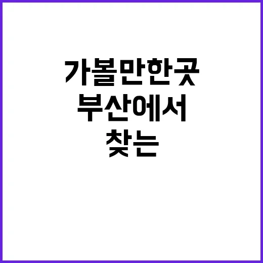 부산에서 가볼만한 …
