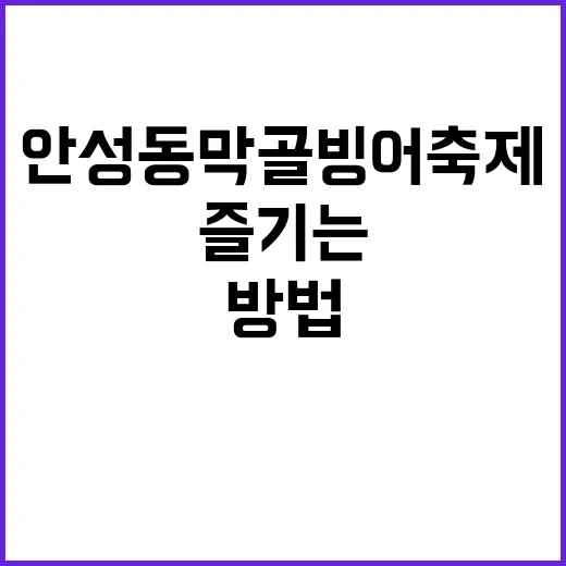 안성 동막골 빙어축…