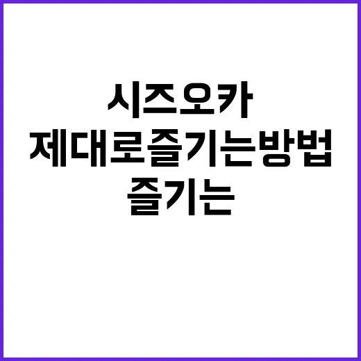 시즈오카를 제대로 …