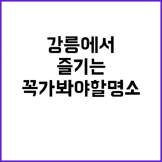 강릉에서 꼭 가봐야…