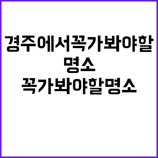 경주에서 꼭 가봐야…