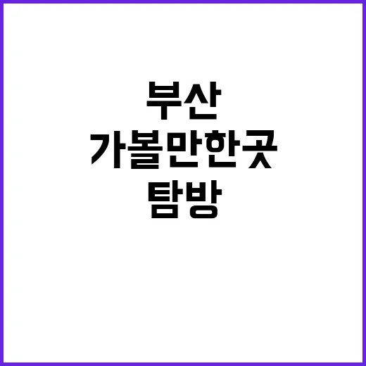 부산 가볼만한 곳을…
