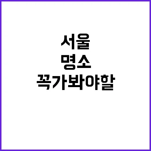 서울에서 꼭 가봐야…