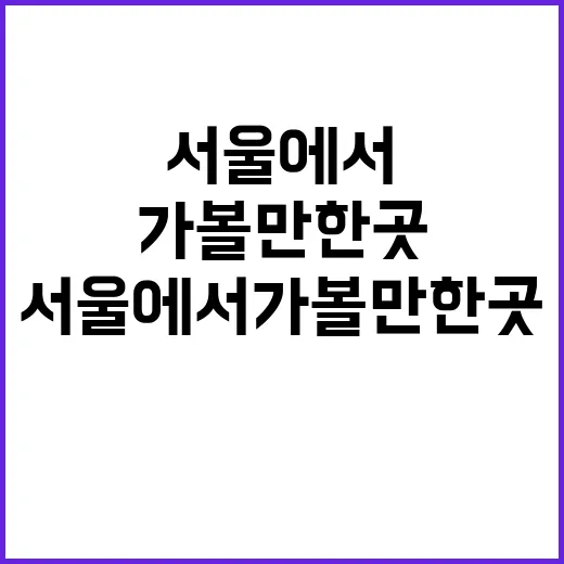 서울에서 가볼만한 …