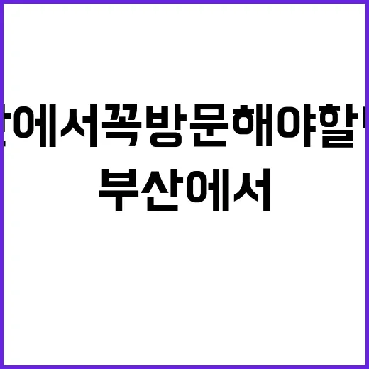 부산에서 꼭 방문해…