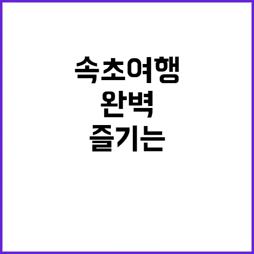 속초 여행을 완벽하…