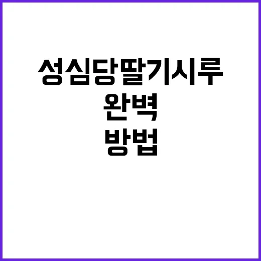 성심당 딸기시루를 …