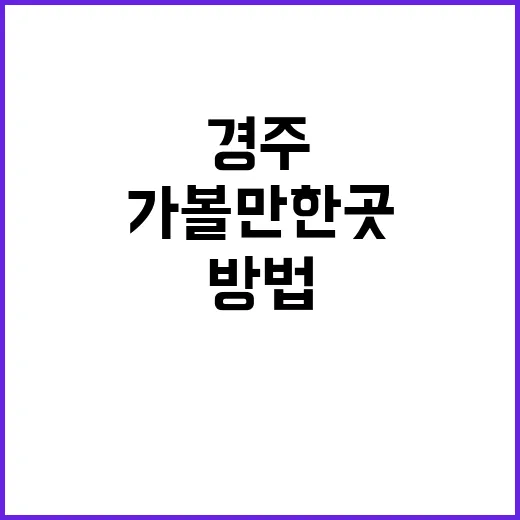 경주 가볼만한 곳을…