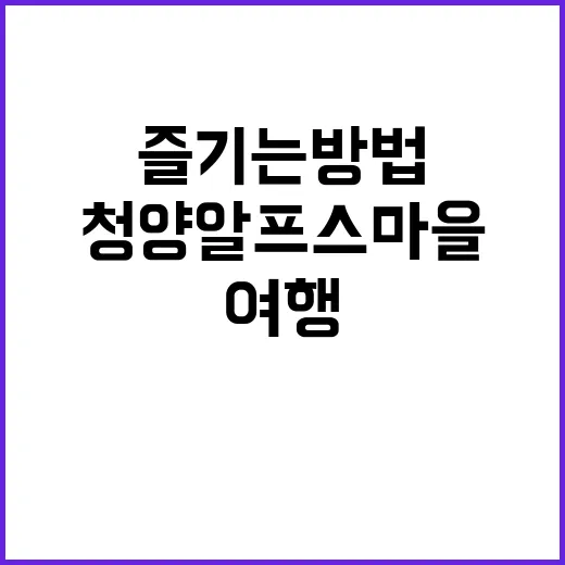 청양 알프스마을에서…