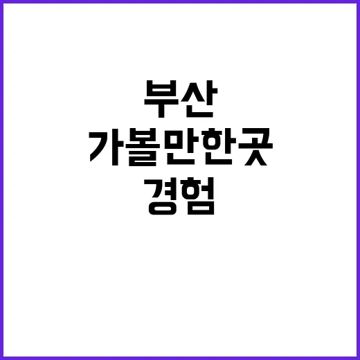 부산 가볼만한 곳을…