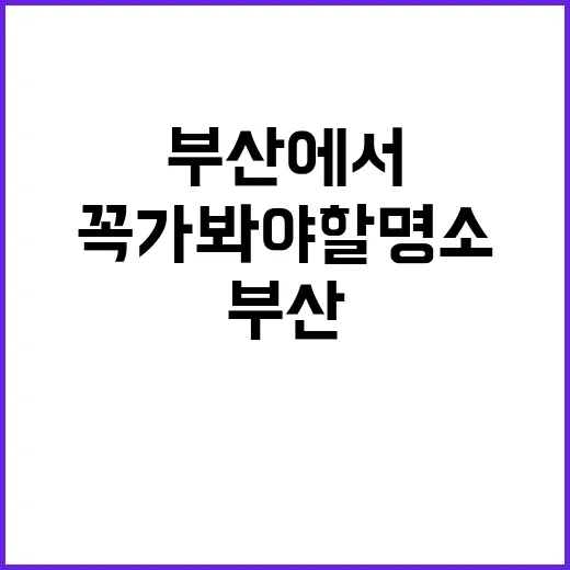 부산에서 꼭 가봐야…