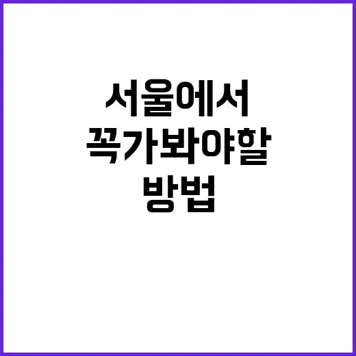 서울에서 꼭 가봐야…