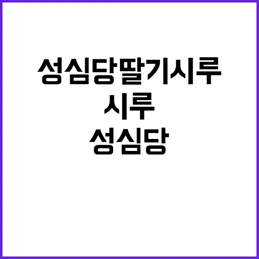 성심당 딸기시루를 …