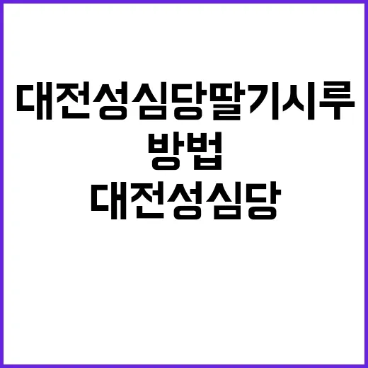 대전 성심당 딸기시루를 즐기는 방법