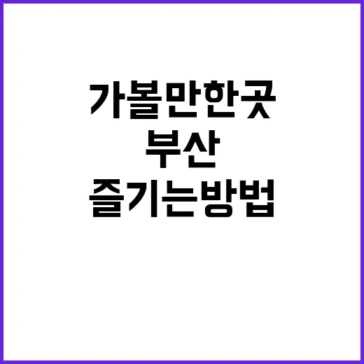 부산 가볼만한 곳을…