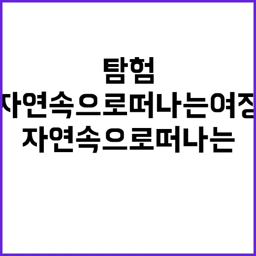 청령포를 탐험하는 …
