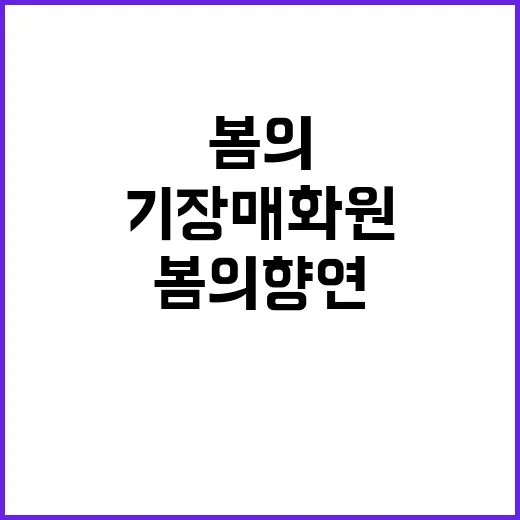 기장 매화원을 즐기…