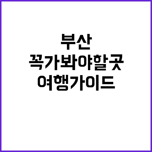부산에서 꼭 가봐야…