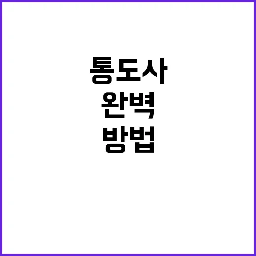 통도사 방문을 완벽…