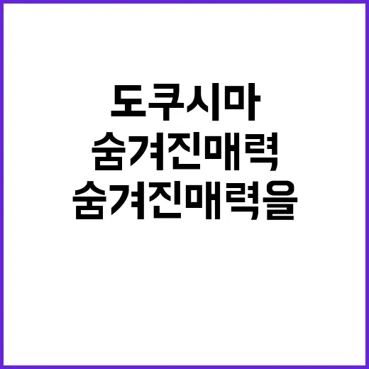 도쿠시마에서 숨겨진 매력을 발견하는 방법