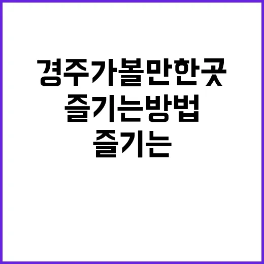경주 가볼만한 곳을 완벽하게 즐기는 방법