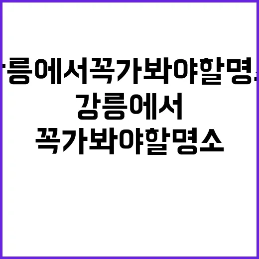 강릉에서 꼭 가봐야…